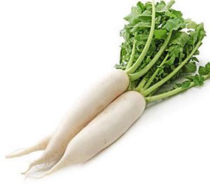 Raddish